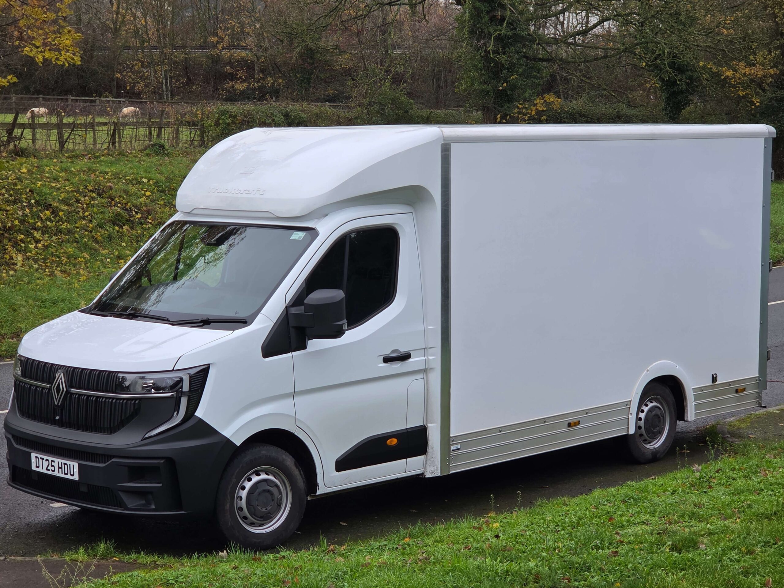 Professional transport van